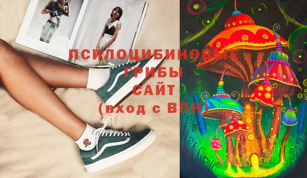 спиды Бронницы
