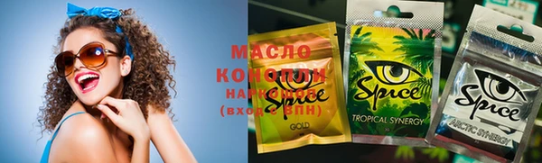 spice Бородино