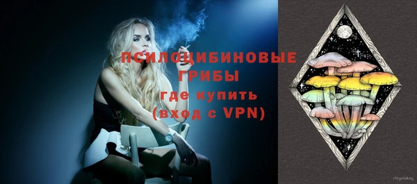 spice Бородино