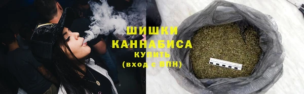 spice Бородино
