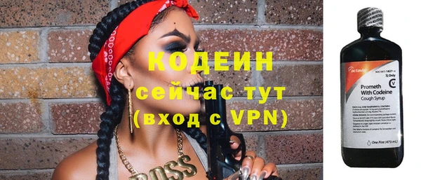 spice Бородино
