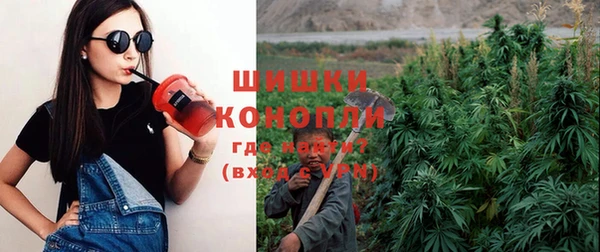 спиды Бронницы